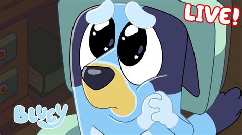 bluey limetorrents|Season 1 Full Episodes .